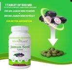 Attar Ayurveda Jamun Seed Extract tablet 500mg, 60 tablets | Beneficial in controlling Blood Sugar Levels, Boosting Digestion, Blood purification and Detoxification (Pack of 1) - Fast Shipping to USA - Image 7