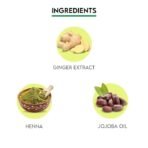 Jovees Herbal Mehandi/Henna Powder | With Amla, Shikakai & Brahmi Powder | For Extra Conditioning | Control Hair Fall & Repairs Damaged Hair | 75g (Pack of 2) - Fast Shipping to USA & Canada - Image 5