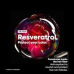 L?Or?al Professionnel Vitamino Color Hair Mask with Resveratrol for Color-treated Hair, Serie Expert, 250gm - Fast Shipping to USA & Canada - Image 6