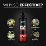 Beardo Hair Fall Control Shampoo For Men, 250 ml | Shampoo For Men With The Goodness Of Amla, Rosemary Oil, Aloe Vera and Brahmi | Strong Hair Shampoo - Fast Shipping to USA & Canada - Image 4