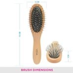 Vega Cushioned Hair Brush (India's No.1* Hair Brush Brand)with Steel Pin For Men & Women, All Hair Types (R2-CB) - Fast Shipping to USA & Canada - Image 4