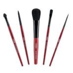 Vega Set of 5 Brush (Colors May Vary) - Fast Shipping to USA & Canada - Image 2