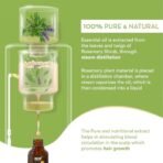 WOW Skin Science Rosemary Essential Oil | Strengthens Weak Hair | Restores Hair & Scalp Health, Adds Shine & Volume | 15ml - Fast Shipping to USA & Canada - Image 3