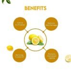 Jovees Herbal Lemon Face Wash with Lemon, Orange Peel & Kakadu Plum Extract | Removes Dirt, Impurities & Excess Oil | Reduces Dark Spot | Skin Brightening (120 ml) - Fast Shipping to USA & Canada - Image 5