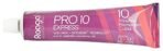 Raaga Professional Pro 10 Hair Color - Natural Brown, 4, 90 g - Fast Shipping to USA & Canada - Image 7