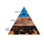 Park Avenue Men Mega Voyage Signature Amber Deodorant Spray , 356G (Pack Of 2) - Fast Shipping to USA & Canada - Image 5