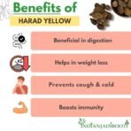 IndianJadiBooti Harad Badi Yellow Haritaki | Karakkaya | Yellow Terminalia Chebula | Kadukkai | Haritaki Natural | Inknut | Harad Badi Pili - Harad Big | 250 Grams Pack - Image 4