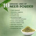 Organic Bites Neem leaf Powder (Neem Patta Powder) -200 gm - Fast Shipping to USA - Image 2
