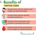 IndianJadiBooti Hartaal Varki - Hartal Warqi, 100 Grams - Image 4