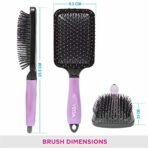 Vega Paddle Hair Brush (India's No.1* Hair Brush Brand) For Men and Women (E18-PB) - Fast Shipping to USA & Canada - Image 4