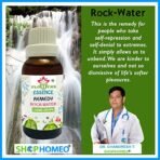 Rock-Water 30ml || Organic Concentrate Natural Flower Remedy || ShopHomeo - Image 3