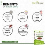 Attar Ayurveda Babul Gond Gum - Kikar Gond - Babool Gond - Acacia arabica Willd (250 Grams) - Fast Shipping to USA - Image 6