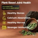 HEALTH VEDA ORGANICS PRIVATE LIMITED Calcium, Magnesium, Zinc with Vitamin D3 & B12, 1000mg I 60 Veg Tablets|Support Strong Bones, Joints & Muscles|For Both Men & Women, 1 count, 60 capsules - Fast Shipping to USA - Image 5