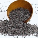 Organic Bites Black Mustard (Rai) -900 gm - Fast Shipping to USA & Canada