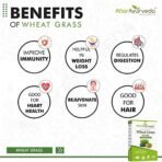 Attar Ayurveda 100% Natural Wheat Grass Powder (100 Gram) | Pure, Preservative free, Non-GMO | Immunity booster, De-Toxifying, Support healthy metabolism - Fast Shipping to USA - Image 6