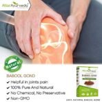 Attar Ayurveda Babul Gond Gum - Kikar Gond - Babool Gond - Acacia arabica Willd (250 Grams) - Fast Shipping to USA - Image 4