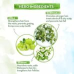 Mamaearth BhringAmla Shampoo for dry & frizzy hair with Bhringraj & Amla for Intense Hair Treatment ? 250 ml - Fast Shipping to USA & Canada - Image 4