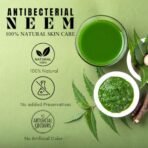 Deewal Premium Neem Clay Face Mask | 100% Vegan & Natural | Purifies & Nourishes | Antibacterial & Anti-Acne Face Mask | Hydrating & Detoxifying Clay Pack | Deep Cleansing for Clear & Glowing Skin | For All Skin Types - Fast Shipping to USA & Canada - Image 6