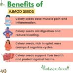 IndianJadiBooti Ajmod Apium Graveolens Celery Seeds, 100 Grams Pack - Image 4