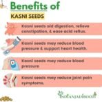 IndianJadiBooti Kasni Seed, 250 Grams - Image 4