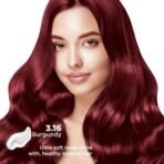 Nisha Cream hair color (120 ml/each) with Rich, Bright, Long Lasting Shine Hair Color NO AMMONIA Cream FORMULA smooth care for your precious hair! (Pack of 2, Burgundy 3.16) - Fast Shipping to USA & Canada - Image 5