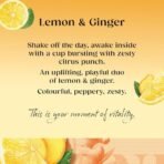 Twinings Lemon & Ginger 20 Single Tea Bags - 4 Pack, 4 X 30 g - Fast Shipping to USA & Canada - Image 4