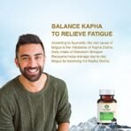 Maharishi Ayurveda Shilajeet Rasayana 500 MG | Natural & Pure Shilajit for Strength, Stamina & Endurance | 60 Tablets Pack of 2 - Fast Shipping to USA - Image 5