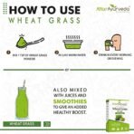 Attar Ayurveda 100% Natural Wheat Grass Powder (100 Gram) | Pure, Preservative free, Non-GMO | Immunity booster, De-Toxifying, Support healthy metabolism - Fast Shipping to USA - Image 7