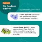 Himalaya Liv.52 Tablets - 100 Counts - Image 7