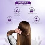 Ayouthveda Purple Rice Water & Corn Hair Conditioner | Protects & Strengthens Damaged & Frizzy Hair | With the Goodness of Betel Leaves & Guava Leaves | Adds Shine & Smoothness (Pack of 1, 200ml) - Fast Shipping to USA & Canada - Image 5