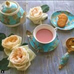 Hamiast Kashmiri Namkeen Green Tea 1Kg, Premium Noon Chai, Sheer Chai, Pink Tea, Samovar Tea (250G Pack Of 4), - Fast Shipping to USA & Canada - Image 5