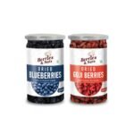 Berries And Nuts Dried Blueberries & Gojiberries Combo | Blueberry 200 Grams & Gojiberry 160 Grams - Fast Shipping to USA & Canada