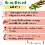 IndianJadiBooti Mulethi Stick Licorice Root Yashtimadhu Sweet Troot Jeshthamadha, 100 Grams Pack - Image 4