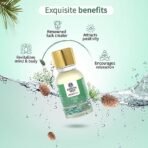 Ayouthveda Pine Essential Oil | Aromatherapy Kit for Stress Relief & Relaxation | use for Skin & Hair, Bath, Soaps & Candles, Inhalers & Diffusers | Revilatises & Soothes Mind & Body (15ml) - Fast Shipping to USA & Canada - Image 5