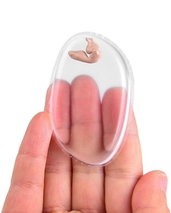 Babila Silicon Sponge, Transparent - Fast Shipping to USA & Canada