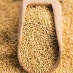 Organic Bites Poppy Seeds / Khas khas (100) - Fast Shipping to USA & Canada