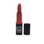 FASHION COLOUR Fabulous Satin Matte | Long Stay Upto 6 Hrs | Waterproof | Smudge Proof and Lipstick for Women | Single Swipe Application | Matte Finish | 4g | Garnet - Fast Shipping to USA & Canada