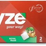 RYZE Nicotine Gum 2mg | Royal Paan | Soft Chew| Aids in Quitting Smoking & Chewing | Smoking Cessation | 3 gums | Single Pack x Pack of 30