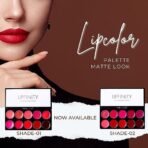 ME-ON Lipfinity Lip Color Palette Matte (Shade 02) - Fast Shipping to USA & Canada - Image 4