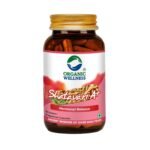 Organic Wellness Shatavari Capsule|| Supports Women's Health & Reproductive Health II Supplement for Hormonal Balance || Helps Relieve Fluid Retention Organic Wellness Shatavari A+ (90 Capsules Pack-1)