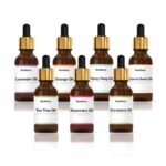 Beaface Combo OF Lavender Oil 20ml | Tea Tree Oil 20ml | Rosemary Oil 20ml | Eucalyptus Oil 20ml | Ylang oil 20ml | Orange oil 20ml | Carrot Seed oil 20ml |Diffuser oil/Aromatic Bath |PACK OF 7|