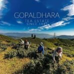 Gopaldhara Darjeeling Tea Classic First Flush Sweet & Flowery 200g Paper Box ? Special FTGFOP1 Pure Darjeeling Spring Tea - Fast Shipping to USA & Canada - Image 6