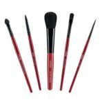 Vega Set of 5 Brush (Colors May Vary) - Fast Shipping to USA & Canada