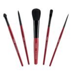 Vega Set of 5 Brush (Colors May Vary) - Fast Shipping to USA & Canada