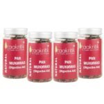 Praakritik Natural Pan Mukhwas | Mouth Freshener | 100% Natural | Digestive | After-Meal Mukhwas | No Added Preservatives and Colors | Pack of 4 | 100 Grams Each - Fast Shipping to USA & Canada