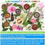 Rock-Water 30ml || Organic Concentrate Natural Flower Remedy || ShopHomeo - Image 4