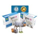 MORE ON Goat Milk Soap For Skin Hydration & Nourishment | 80% TFM Soap For Men & Women | Paraben, SLS, Free (125 g (Pack of 6)) - Fast Shipping to USA & Canada