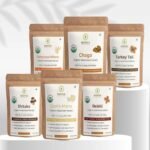 Rooted Active Organic Mushroom Extract Sample Packs, 8g each - Cordyceps Militaris, Chaga, Turkey Tail, Shiitake, Lion's Mane, Reishi - Fast Shipping to USA