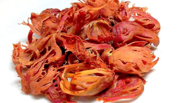 Organic Bites Kerala Mace/Javitri/Japatri Flower Whole spices -50 gm - Fast Shipping to USA & Canada