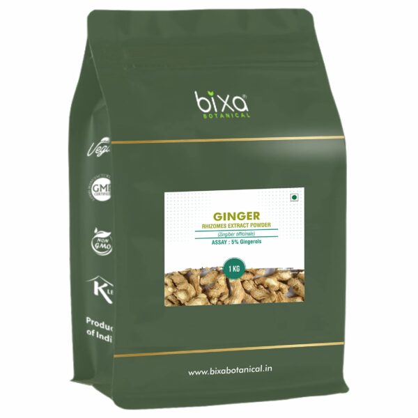 Bixa Botanical Ginger (Zingiber officinale) dry Extract - 5% Gingerols by UV - Fast Shipping to USA & Canada